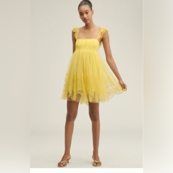 NWT $198 Anthropology Let Me Be Eyelet Tulle Mini Dress - Picture 3 of 5
